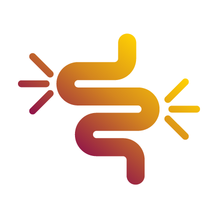 facts 1.1.1_intestines@2x